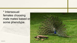 zy
9/25/2016 33
* Intersexual:
females choosing
male mates based on
some phenotype.
 