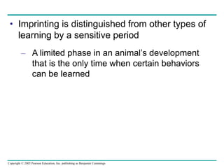 Copyright © 2005 Pearson Education, Inc. publishing as Benjamin Cummings
• Imprinting is distinguished from other types of
learning by a sensitive period
– A limited phase in an animal’s development
that is the only time when certain behaviors
can be learned
 