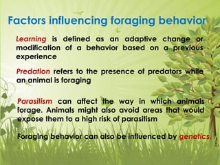 Behavioral ecology.pptx The Mating System | PPTX