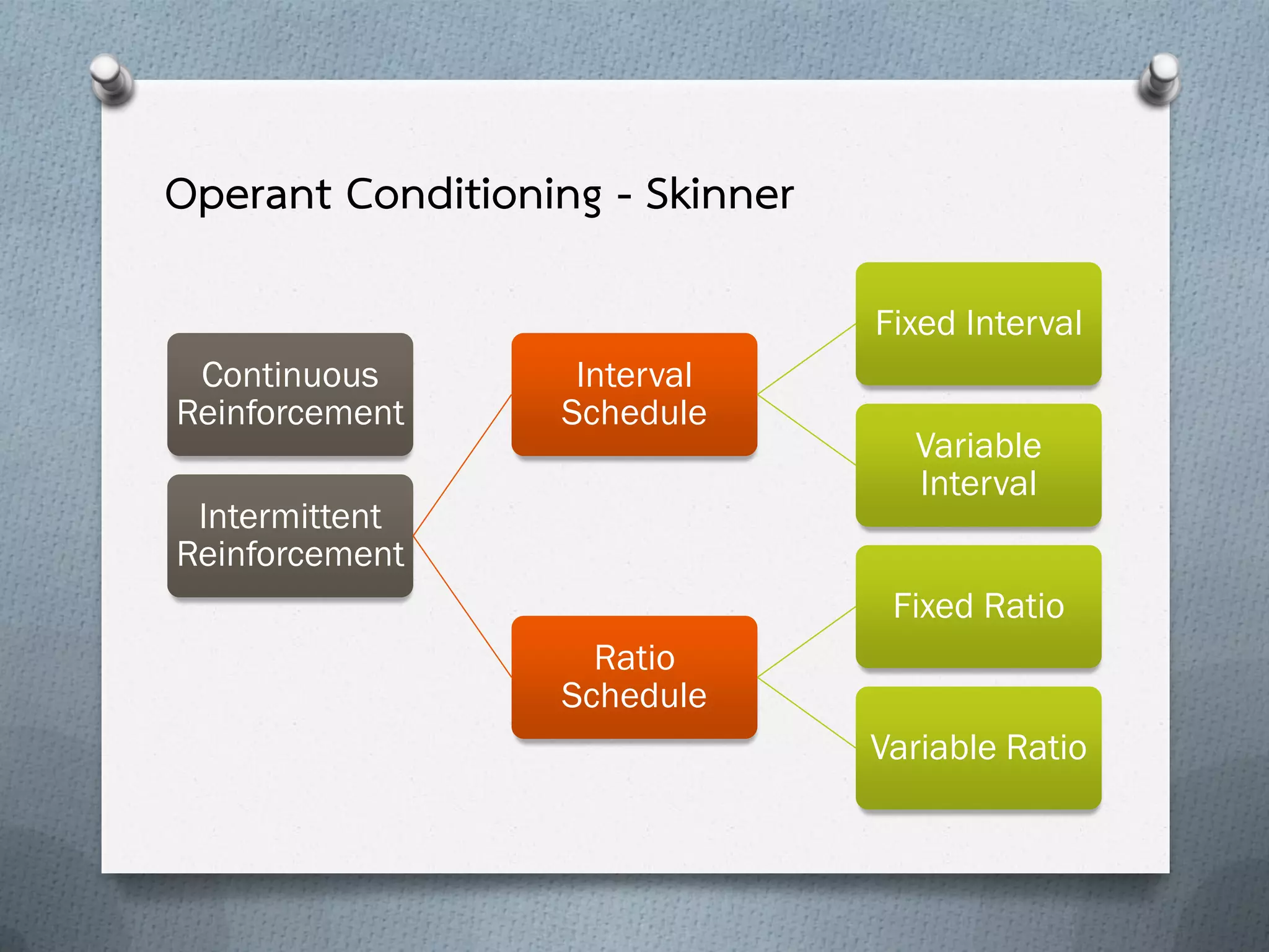 Operant Conditioning - Skinner
Fixed Interval
Continuous
Reinforcement

Interval
Schedule

Intermittent
Reinforcement

Variable
Interval

Fixed Ratio
Ratio
Schedule
Variable Ratio

 
