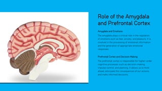 Behavioral Neuroscience - An Introductory Presentation by: The Angel ...