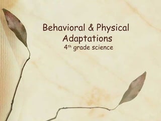 Behavioral & Physical
Adaptations
4th
grade science
 