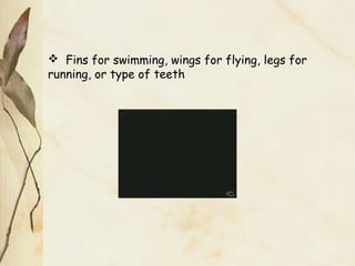  Fins for swimming, wings for flying, legs for
running, or type of teeth
 