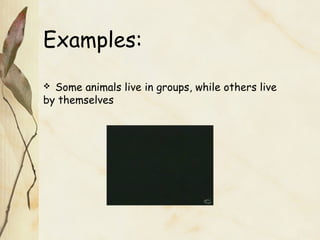 Examples:
 Some animals live in groups, while others live
by themselves
 