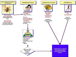 Behavioral science | PPT
