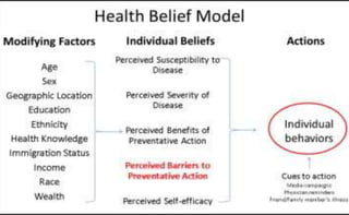 Behavioral science | PPT