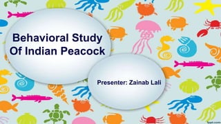 Behavioral Study
Of Indian Peacock
Presenter: Zainab Lali
 