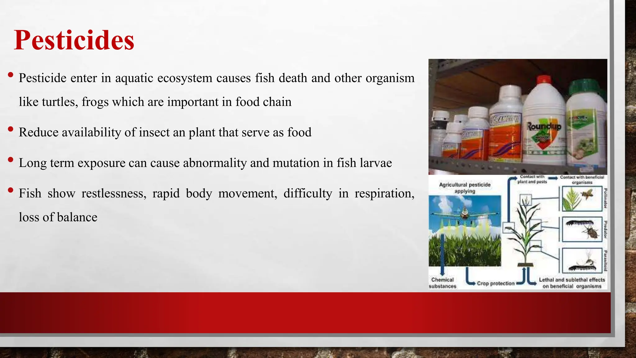 Pesticide effects on turtle health Turtle Island Pesticide effects on turtle health Turtle Island