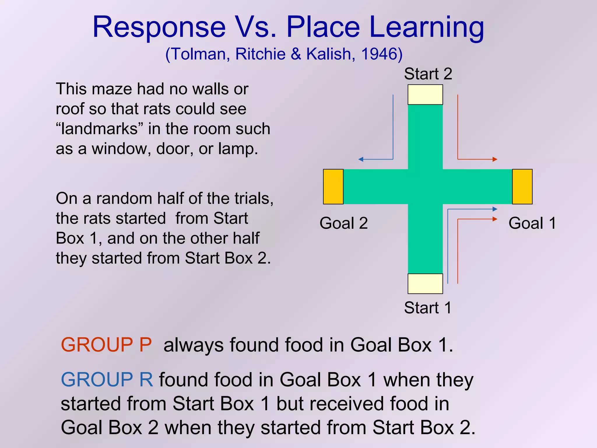 Response Vs. Place Learning
               (Tolman, Ritchie & Kalish, 1946)
                                                  Start 2
This maze had no walls or
roof so that rats could see
“landmarks” in the room such
as a window, door, or lamp.


On a random half of the trials,
the rats started from Start        Goal 2                   Goal 1
Box 1, and on the other half
they started from Start Box 2.


                                                  Start 1

GROUP P always found food in Goal Box 1.
GROUP R found food in Goal Box 1 when they
started from Start Box 1 but received food in
Goal Box 2 when they started from Start Box 2.
 