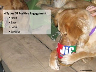 4 Types Of Positive Engagement
• Hard
• Easy
• Social
• Serious
© Chevysmom
 