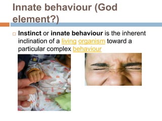 Innate behaviour (God
element?)


Instinct or innate behaviour is the inherent
inclination of a living organism toward a
particular complex behaviour

 