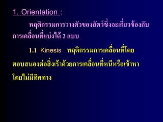 1. Orientation :
     พฤติกรรมการวางตัวของสั ตว์ซึ่งจะเกียวข้ องกับ
                                            ่
การเคลือนทีแบ่ งได้ 2 แบบ
        ่ ่
     1.1 Kinesis พฤติกรรมการเคลือนทีโดย ่ ่
ตอบสนองต่ อสิ่ งเร้ าด้ วยการเคลือนทีหนีหรือเข้ าหา
                                 ่ ่
โดยไม่ มีทศทาง
          ิ
 