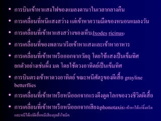 • การบินเข้าหาแสงไฟของแมลงดานาในเวลากลางคืน
• การเคลื่อนที่หนีแสงสว่าง แต่เข้าหาความมืดของหนอนแมลงวัน
• การเคลื่อนที่เข้าหาแสงสว่างของเห็บ(Ixodes ricinus)
• การเคลื่อนที่ของพลานาเรี ยเข้าหาแสงและเข้าหาอาหาร
• การเคลื่อนที่เข้าหาหรื อออกจากวัตถุ โดยใช้แสงเป็ นเข็มทิศ
  ยกตัวอย่างเช่นผึ้ง มด โดยใช้ดวงอาทิตย์เป็ นเข็มทิศ
• การบินตรงเข้าหาดวงอาทิตย์ ขณะหนีศตรู ของผีเสื้ อ grayline
                                        ั
    betterflies
• การเคลื่อนที่เข้าหาหรื อหนีออกจากแรงดึงดูดโลกของวงชีวตผีเสื้ อ
                                                               ิ
• การเคลื่อนที่เข้าหาหรื อหนีออกจากเสี ยง(phonotaxis) เข้าหาได้แก่จิ้งหรี ด
    และหนีได้แก่ผเี สื้ อหนีเสี ยงอุลต้าโซนิค
 
