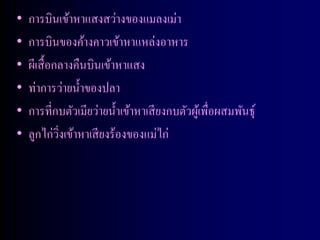 •   การบินเข้าหาแสงสว่างของแมลงเม่า
•   การบินของค้างคาวเข้าหาแหล่งอาหาร
•   ผีเสื้ อกลางคืนบินเข้าหาแสง
•   ท่าการว่ายน้ าของปลา
•   การที่กบตัวเมียว่ายน้ าเข้าหาเสี ยงกบตัวผูเ้ พื่อผสมพันธุ์
•   ลูกไก่วงเข้าหาเสี ยงร้องของแม่ไก่
             ิ่
 