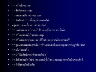 •   การสร้างรังของนก
•   การชักใยของแมงมุม
•   การแทะมะพร้าวของกระรอก
•   การฟักไข่และการเลี้ยงลูกอ่อนของไก่
•   พฤติกรรมการเกี้ยวพาราสี ของสัตว์
•   การปกป้ องอาณาบริ เวณที่ได้รับการคุมครองของกิ้งก่า
                                       ้
•   การสร้างปลอกหุมไขของแมงมุม
                     ้
•   การสร้างรังและหาอาหารมาไว้ในรังของพวกต่อและหมาล้า
•   การดูดนมของทารกการค้นหาหัวนมของแม่และการดูดนมของลูกปลาวาฬ
•   การเต้นราของผึ้ง
•   การนาไข่กลับรังของห่ านเกรย์แลก
•   การจาศีลของสัตว์ เช่น กบและหมีข้ วโลก และการอพยพย้ายถิ่นของสัตว์
                                     ั
•   การกาสิ่ งของในมือเด็ก
 