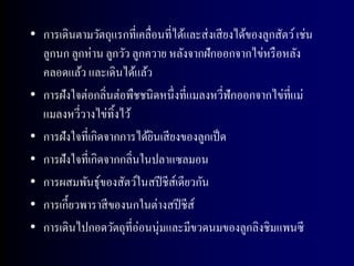 • การเดินตามวัตถุแรกที่เคลื่อนที่ได้และส่ งเสี ยงได้ของลูกสัตว์ เช่น
  ลูกนก ลูกห่าน ลูกวัว ลูกควาย หลังจากฝักออกจากไข่หรื อหลัง
  คลอดแล้ว และเดินได้แล้ว
• การฝังใจต่อกลิ่นต่อพืชชนิดหนึ่งที่แมลงหวี่ฟักออกจากไข่ที่แม่
  แมลงหวี่วางไข่ทิ้งไว้
• การฝังใจที่เกิดจากการได้ยนเสี ยงของลูกเป็ ด
                            ิ
• การฝังใจที่เกิดจากกลิ่นในปลาแซลมอน
• การผสมพันธุ์ของสัตว์ในสปี ชีส์เดียวกัน
• การเกี้ยวพาราสี ของนกในต่างสปี ชีส์
• การเดินไปกอดวัตถุที่อ่อนนุ่มและมีขวดนมของลูกลิงชิมแพนซี
 