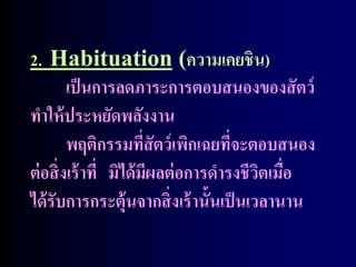 2. Habituation (ความเคยชิน)
         เป็ นการลดภาระการตอบสนองของสั ตว์
ทาให้ ประหยัดพลังงาน
         พฤติกรรมที่สัตว์ เพิกเฉยที่จะตอบสนอง
ต่ อสิ่ งเร้ าที่ มิได้ มีผลต่ อการดารงชีวตเมื่อ
                                          ิ
ได้ รับการกระตุ้นจากสิ่ งเร้ านั้นเป็ นเวลานาน
 