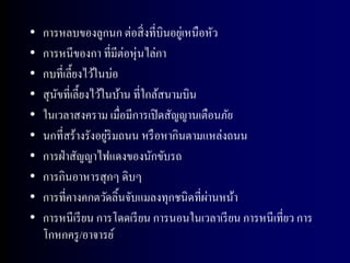 •   การหลบของลูกนก ต่อสิ่ งที่บินอยูเ่ หนือหัว
•   การหนีของกา ที่มีต่อหุ่นไล่กา
•   กบที่เลี้ยงไว้ในบ่อ
•   สุ นขที่เลี้ยงไว้ในบ้าน ที่ใกล้สนามบิน
        ั
•   ในเวลาสงคราม เมื่อมีการเปิ ดสัญญานเตือนภัย
•                     ่
    นกที่สร้างรังอยูริมถนน หรื อหากินตามแหล่งถนน
•   การฝ่ าสัญญาไฟแดงของนักขับรถ
•   การกินอาหารสุ กๆ ดิบๆ
•                                          ่
    การที่คางคกตวัดลิ้นจับแมลงทุกชนิดที่ผานหน้า
•   การหนีเรี ยน การโดดเรี ยน การนอนในเวลาเรี ยน การหนีเที่ยว การ
    โกหกครู /อาจารย์
 