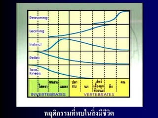 พฤติกรรมที่พบในสิ่ งมีชีวต
                         ิ
 