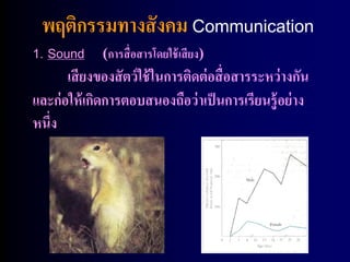 พฤติกรรมทางสั งคม Communication
1. Sound (การสื่อสารโดยใช้ เสียง)
       เสี ยงของสั ตว์ ใช้ ในการติดต่ อสื่ อสารระหว่ างกัน
และก่ อให้ เกิดการตอบสนองถือว่ าเป็ นการเรียนรู้ อย่ าง
หนึ่ง
 
