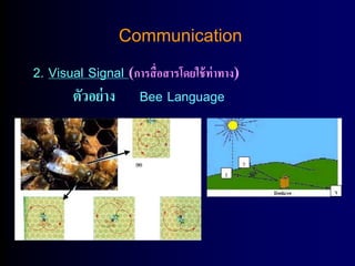 Communication
2. Visual Signal (การสื่อสารโดยใช้ ท่าทาง)
       ตัวอย่ าง Bee Language
 