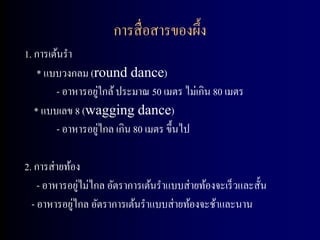 การสื่ อสารของผึ้ง
1. การเต้นรา
    * แบบวงกลม (round dance)
                  ่
        - อาหารอยูใกล้ ประมาณ 50 เมตร ไม่เกิน 80 เมตร
   * แบบเลข 8 (wagging dance)
                    ่
        - อาหารอยูไกล เกิน 80 เมตร ขึ้นไป

2. การส่ ายท้อง
               ่
    - อาหารอยูไม่ไกล อัตราการเต้นราแบบส่ ายท้องจะเร็ วและสั้น
             ่
  - อาหารอยูไกล อัตราการเต้นราแบบส่ ายท้องจะช้าและนาน
 
