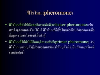 ฟี โรโมน (pheromone)
• ฟี โรโมนที่ทาให้เกิดพฤติกรรมทันที(releaser pheromone) เช่น
  สารดึงดูดเพศตรงข้าม ได้แก่ ฟี โรโมนที่ผเี สื้ อไหมตัวเมียปล่อยออกมาเพื่อ
  ดึงดูดความสนใจของผีเสื้ อตัวผู ้
• ฟี โรโมนที่ไม่ทาให้เกิดพฤติกรรมทันที(primer pheromone) เช่น
  ฟี โรโมนของหนูตวผูปล่อยออกมาชักนาให้หนูตวเมีย เป็ นสัดและพร้อมที่
                    ั ้                            ั
  จะผสมพันธุ์
 