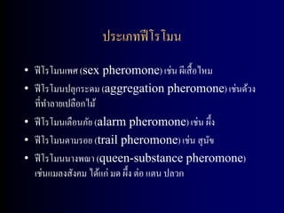ประเภทฟี โรโมน
• ฟี โรโมนเพศ (sex pheromone) เช่น ผีเสื้ อไหม
• ฟี โรโมนปลุกระดม (aggregation pheromone) เช่นด้วง
  ที่ทาลายเปลือกไม้
• ฟี โรโมนเตือนภัย (alarm pheromone) เช่น ผึ้ง
• ฟี โรโมนตามรอย (trail pheromone) เช่น สุ นขั
• ฟี โรโมนนางพณา (queen-substance pheromone)
  เช่นแมลงสังคม ได้แก่ มด ผึ้ง ต่อ แตน ปลวก
 