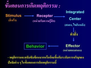 ขั้นตอนการเกิดพฤติกรรม :
                                              Integrated
Stimulus               Recepter
 (สิ่ งเร้ า)                                   Center
                    (หน่ วยรับความรู้สึก)
                                             (สมอง, ไขสั นหลัง)

                                                 คาสั่ ง

                Behavior                      Effector
                                            (หน่ วยตอบสนอง)
 - พฤติกรรมจะสลับซับซ้ อนมากหรือน้ อยขึนกับระดับการเจริญของ
                                        ้
 ปัจจัยต่ าง ๆ ในขั้นตอนการเกิดพฤติกรรมนี้
 