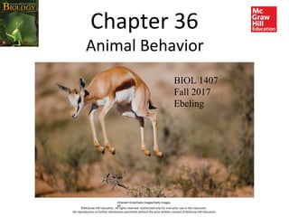 Chapter 36
Animal Behavior
©Gerald Hinde/Gallo Images/Getty Images
RF
©McGraw-Hill Education. All rights reserved. Authorized only for instructor use in the classroom.
No reproduction or further distribution permitted without the prior written consent of McGraw-Hill Education.
BIOL 1407
Fall 2017
Ebeling
 