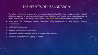 THE EFFECTS OF URBANIZATION
• The urban environment as a new type of ecosystem significantly differs from nearby non-urban ‘natural’
habitats in a variety of abiotic and biotic factors; may suffer less from climatic stress especially during the
winter months, due to the warmer microclimate (‘heat island effect’) or from lower predations risk.
• Many novel and potentially stressful conditions rarely experienced in their original, ‘natural’
environments:
a. Unfamiliar food sources
b. Elevated anthropogenic disturbance
c. Permanent presence and high density of humans, dogs, and cats
d. Increased levels of artificial lighting and noise.
 