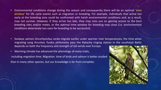 • Environmental conditions change during the season and consequently there will be an optimal ‘time
window’ for life cycle events such as migration or breeding. For example, individuals that arrive too
early at the breeding area could be confronted with harsh environmental conditions and, as a result,
may not survive. However, if they arrive too late, they may miss out on gaining access to the best
breeding sites and/or mates, or the optimal time window for breeding may close (i.e. environmental
conditions deteriorate too soon for breeding to be successful).
• Sockeye salmon Oncorhynchus nerka migrate earlier under warmer river temperatures; the time when
migrating song thrushes Turdus philomelos pass the Rybachy ringing station in the southeast Baltic
depends on both the frequency and strength of tail winds over Europe.
• Warming climate has advanced the phenology of many traits,
including migration time. Migration time of birds and salmon is better studied
than in many other species, but our knowledge is far from complete.
 
