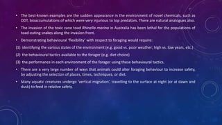 • The best-known examples are the sudden appearance in the environment of novel chemicals, such as
DDT, bioaccumulations of which were very injurious to top predators. There are natural analogues also.
• The invasion of the toxic cane toad Rhinella marina in Australia has been lethal for the populations of
toad-eating snakes along the invasion front.
• Demonstrating behavioural ‘flexibility’ with respect to foraging would require:
(1) identifying the various states of the environment (e.g. good vs. poor weather; high vs. low years, etc.)
(2) the behavioural tactics available to the forager (e.g. diet choice)
(3) the performance in each environment of the forager using these behavioural tactics.
• There are a very large number of ways that animals could alter foraging behaviour to increase safety,
by adjusting the selection of places, times, techniques, or diet.
• Many aquatic creatures undergo ‘vertical migration’, travelling to the surface at night (or at dawn and
dusk) to feed in relative safety.
 