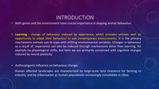 INTRODUCTION
• Both genes and the environment have crucial importance in shaping animal behaviour
• Learning : change of behaviour induced by experience, which provides animals with an
opportunity to adapt their behaviour to suit contemporary environments. It is the primary
mechanisms animals use to cope with shifting environmental variables. Changes in behaviour
as a result of experience can also be induced through mechanisms other than learning, for
example by physiological shifts, but here we are primarily concerned with cognitive changes
induced by neural plasticity
• Anthropogenic influence on behaviour change:
Human affected landscapes are characterized by large-scale land clearance for farming or
industry, and by urbanization as human populations increasingly consolidate in cities.
 