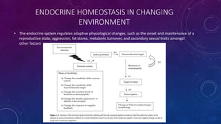 ENDOCRINE HOMEOSTASIS IN CHANGING
ENVIRONMENT
• The endocrine system regulates adaptive physiological changes, such as the onset and maintenance of a
reproductive state, aggression, fat stores, metabolic turnover, and secondary sexual traits amongst
other factors
 