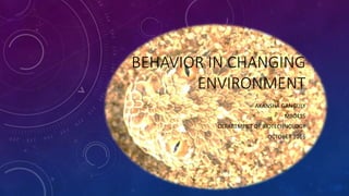 BEHAVIOR IN CHANGING
ENVIRONMENT
AKANSHA GANGULY
MB0415
DEPARTMENT OF BIOTECHNOLOGY
OCTOBER 2016
 