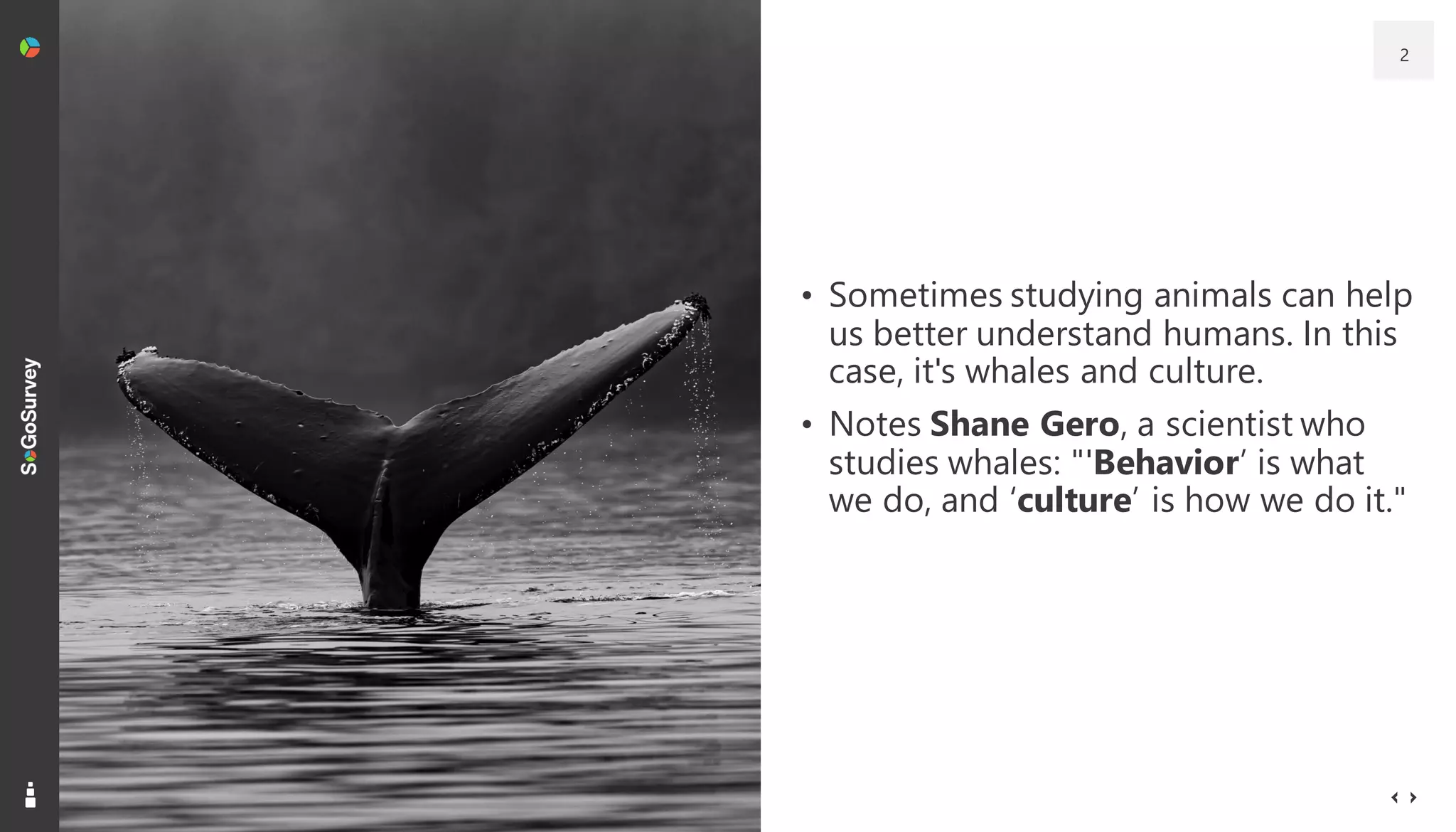 Behavior, Intent, and Remote Company Culture | PPT