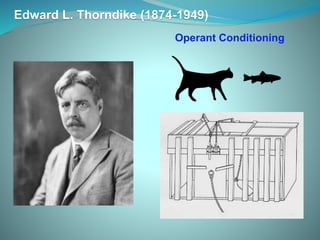 Edward L. Thorndike (1874-1949)
Operant Conditioning
 