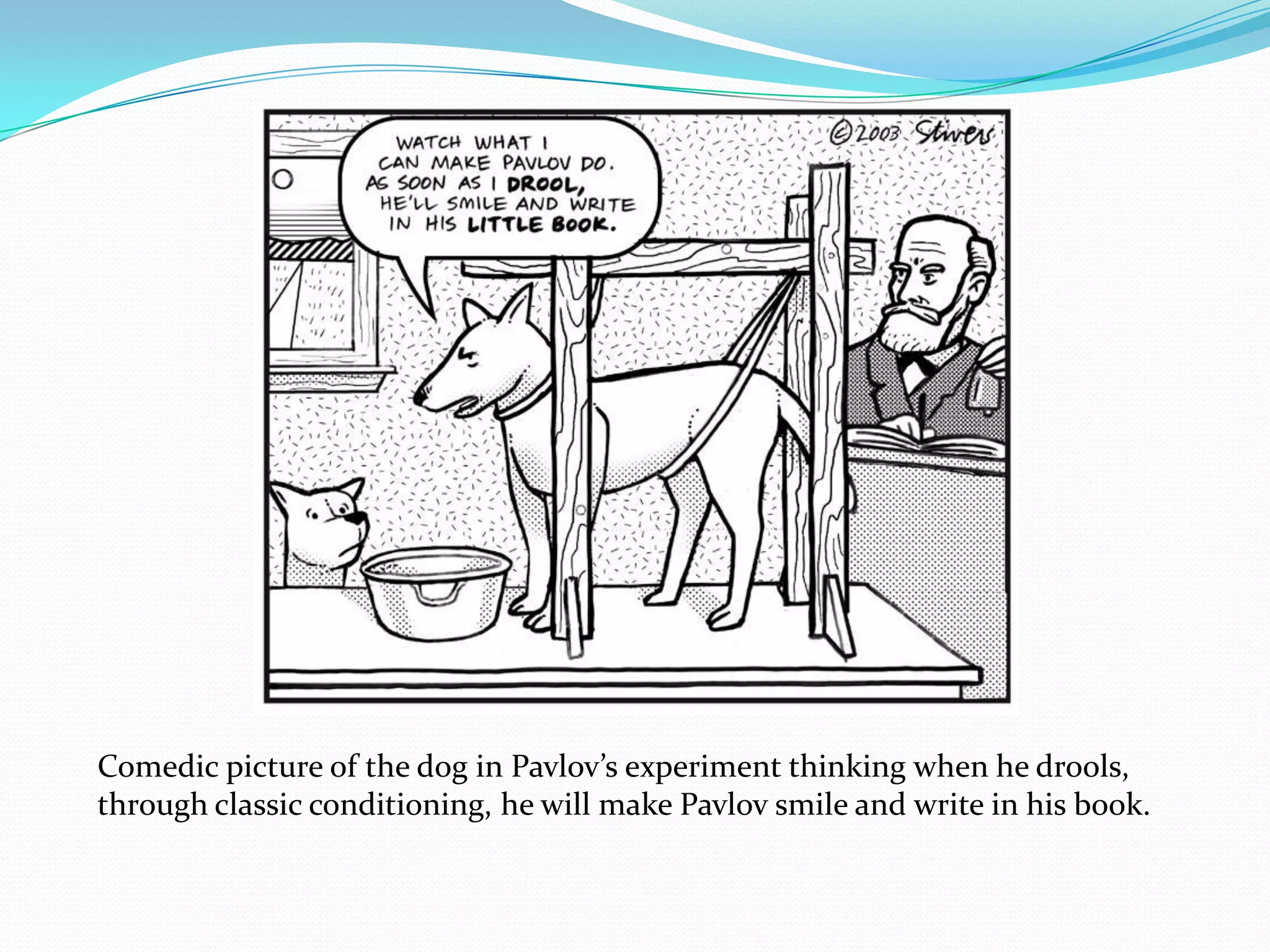 Comedic picture of the dog in Pavlov’s experiment thinking when he drools, through classic conditioning, he will make Pavlov smile and write in his book.  