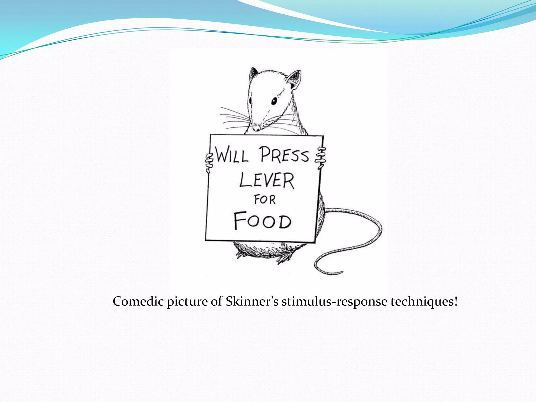 Comedic picture of Skinner’s stimulus-response techniques!