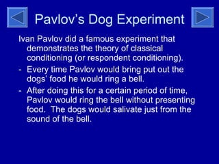 Pavlov’s Dog Experiment Ivan Pavlov did a famous experiment that demonstrates the theory of classical conditioning (or respondent conditioning). Every time Pavlov would bring put out the dogs’ food he would ring a bell. After doing this for a certain period of time, Pavlov would ring the bell without presenting food.  The dogs would salivate just from the sound of the bell. 