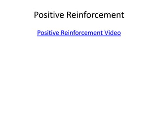 Positive Reinforcement Positive Reinforcement Video