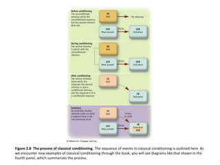 Figure 2.8The process of classical conditioning. The sequence of events in classical conditioning is outlined here  As we encounter new examples of classical conditioning through the book, you will see diagrams like that shown in the fourth panel, which summarizes the process.