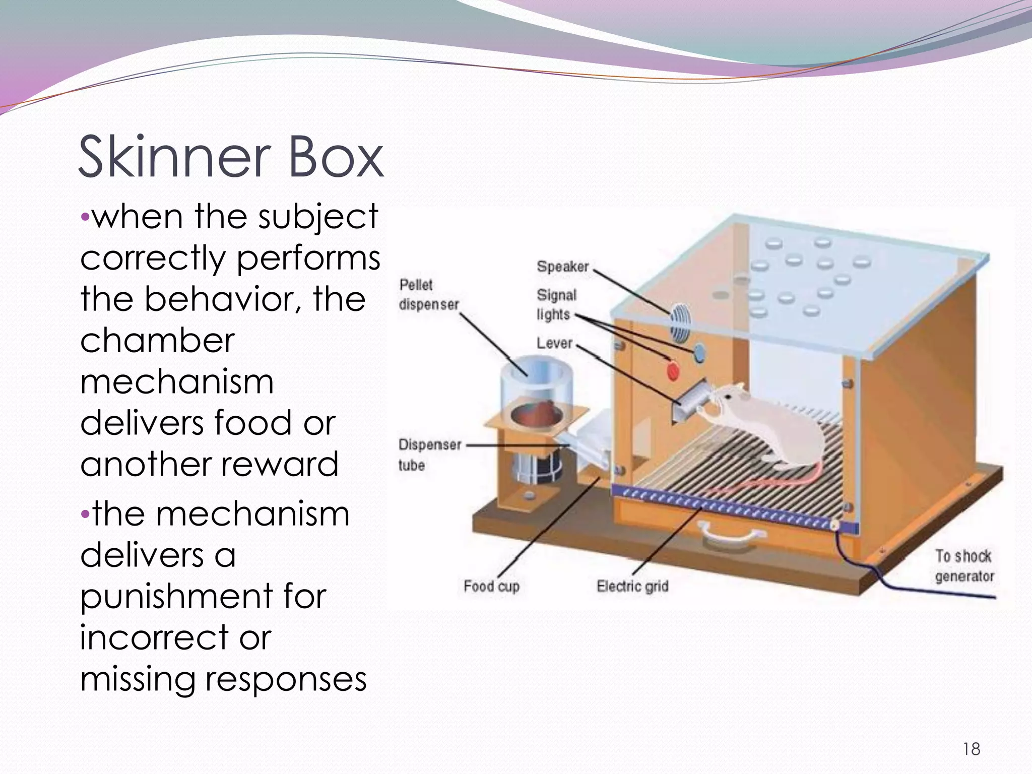 Skinner Box
•when the subject
correctly performs
the behavior, the
chamber
mechanism
delivers food or
another reward
•the mechanism
delivers a
punishment for
incorrect or
missing responses
                     18
 