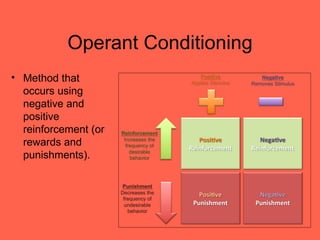 Operant Conditioning
• Method that
  occurs using
  negative and
  positive
  reinforcement (or
  rewards and
  punishments).
 