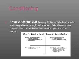 1.   OPERANT CONDITIONING: Learning that is controlled and results
     in shaping behavior through reinforcement of stimulus-response
     patterns. A bond is established between the operant and the
     reward.
 