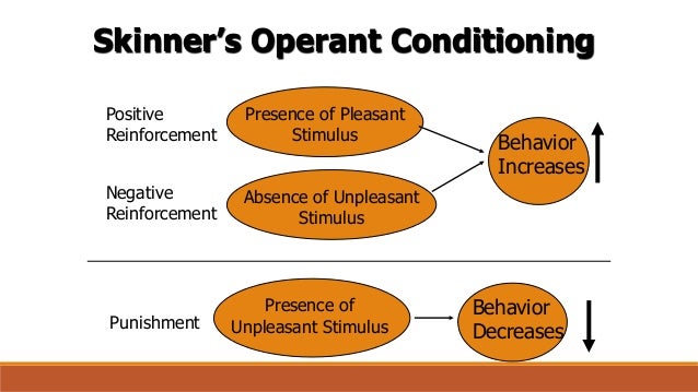 Skinner s Theory On Human Behavior