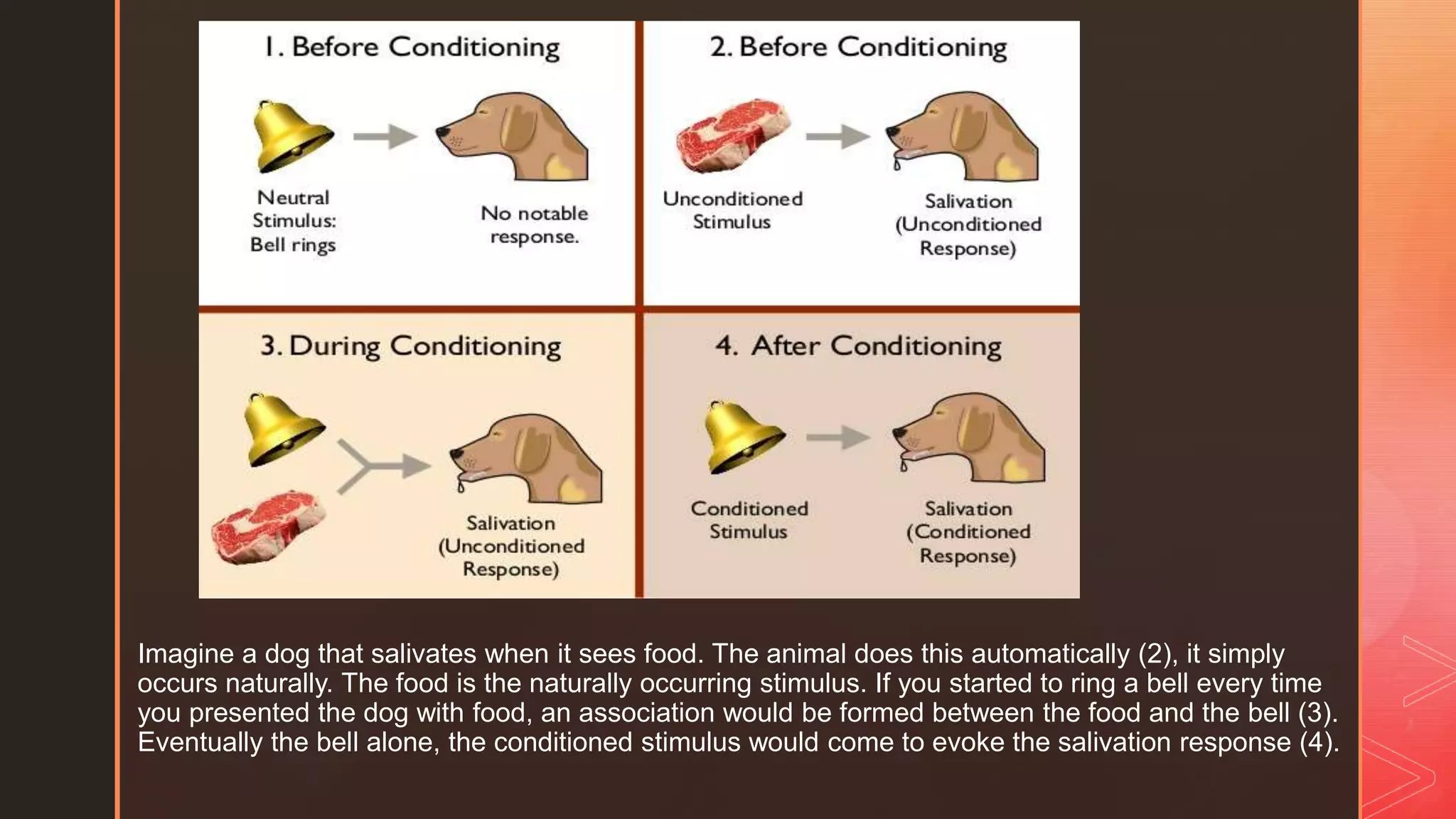 z
Imagine a dog that salivates when it sees food. The animal does this automatically (2), it simply
occurs naturally. The food is the naturally occurring stimulus. If you started to ring a bell every time
you presented the dog with food, an association would be formed between the food and the bell (3).
Eventually the bell alone, the conditioned stimulus would come to evoke the salivation response (4).
 