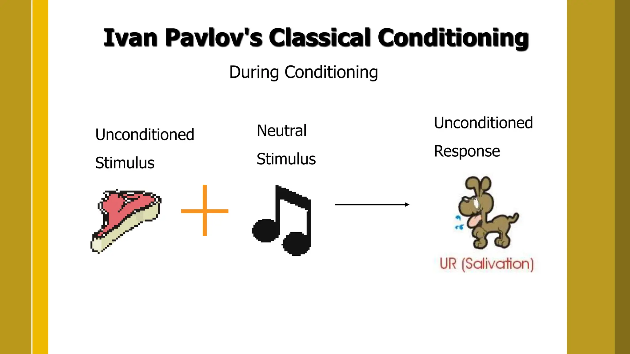 Ivan Pavlov's Classical Conditioning
During Conditioning
Unconditioned
Stimulus
Neutral
Stimulus
Unconditioned
Response
 