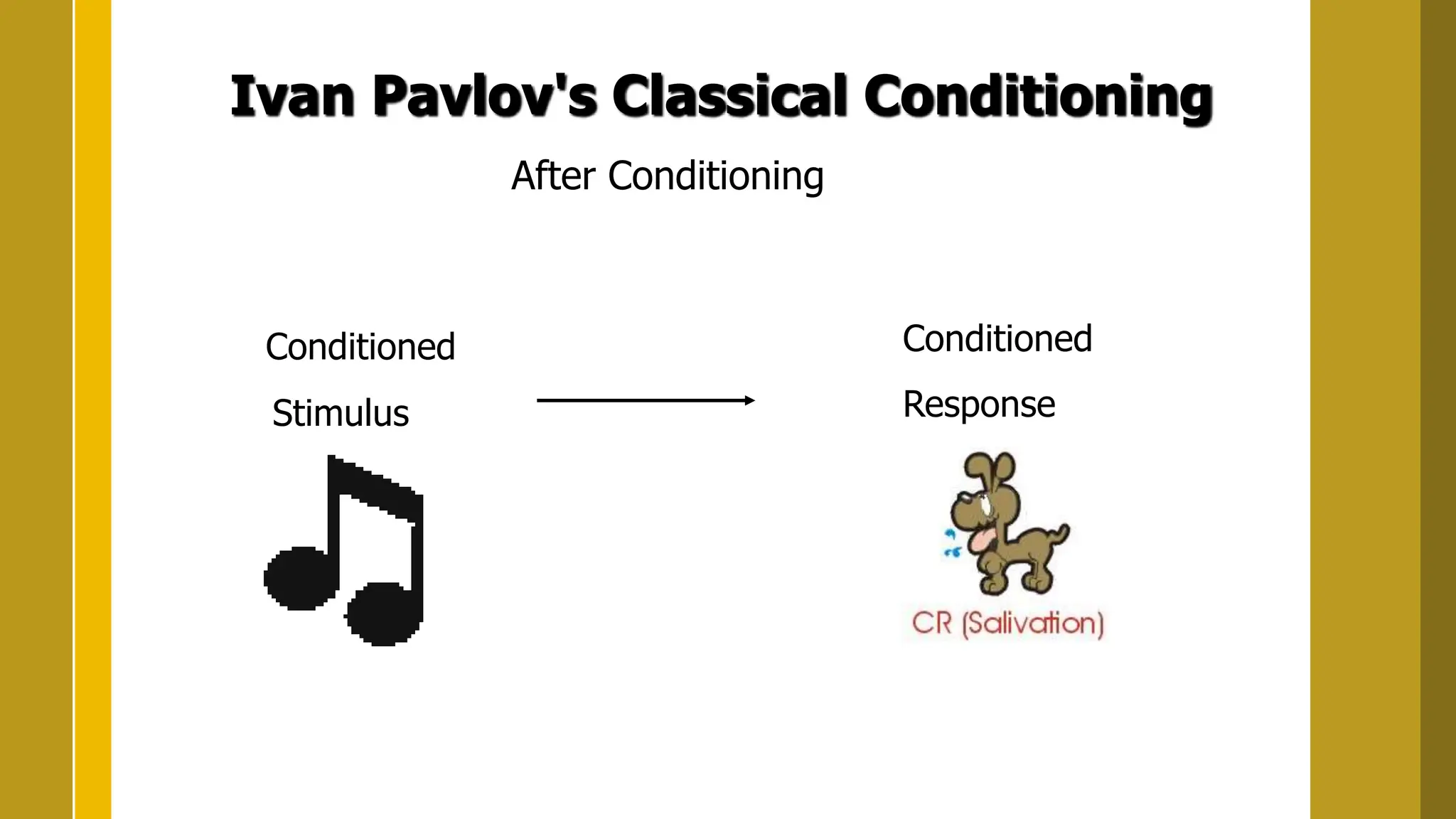 Ivan Pavlov's Classical Conditioning
After Conditioning
Conditioned
Stimulus
Conditioned
Response
 